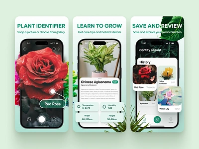 Plant Identifier - App Store Screenshots app app design app store design flowers graphic design green identify ios mobile app nature plant info plants screenshots ui uiux visual