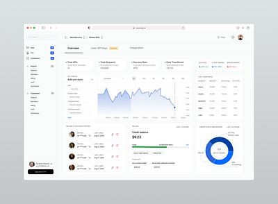 🚀 API Management Dashboard UI dribbble ui