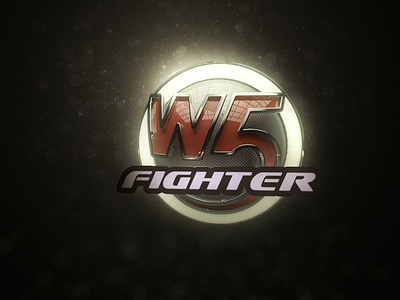 W5 Fighter