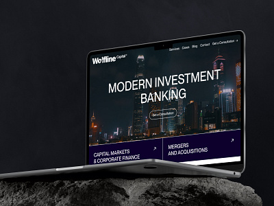 Wolfline Capital® branding corporate design finance identity logo nikitashubinru site ui ux uxui web webdesign