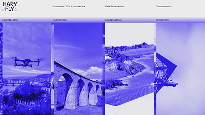 Hary-Fly Website creative coding landing page photogrammetry startup tech web design web development website