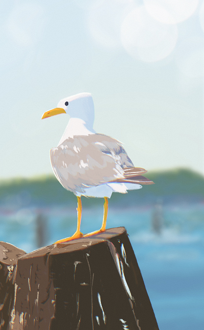 Seagull bird blue character design diana nb digital painting illustration landscape seagull study stylized summer warm