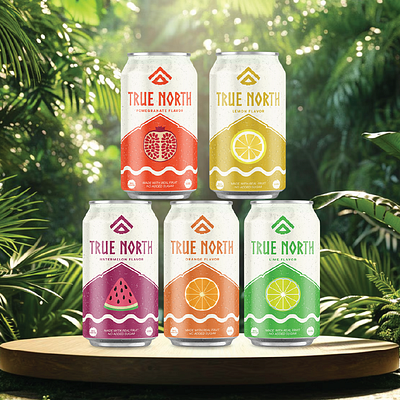 True North drink app branding design graphic design illustration logo