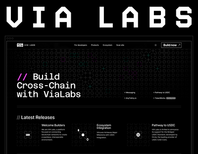 VIA Labs | Scaling across cross-chain development blockchain branding crosschain crypto graphic design ui