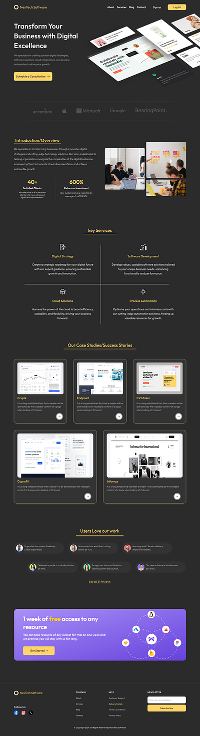 Web Design ui ux web design