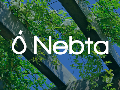 Nebta | Digital Plant Shop - Visual Identity branding digital environment green mahfworks minimal moroccan nebta plant shop plants ui ux