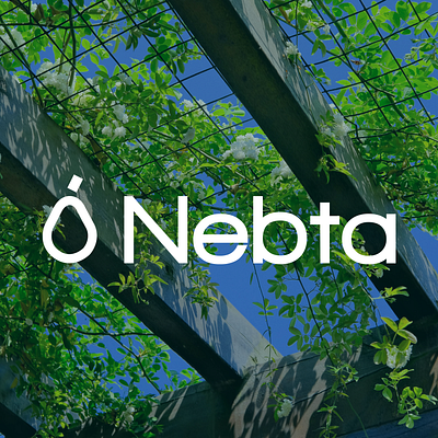 Nebta | Digital Plant Shop - Visual Identity branding digital environment green mahfworks minimal moroccan nebta plant shop plants ui ux