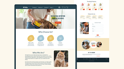 InterCat | Case study casestudy ecommerce homepage responsive design ui