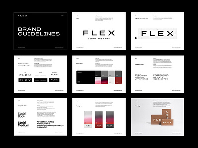 Flex Brand Identity Guidelines brand branding design graphic design guidelines guides identity illustration industry logo packaging startups tech