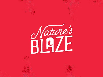 Hot Sauce Visual Identity and Packaging Design brand identity branding flames food hot sauce logo packaging visual idenity