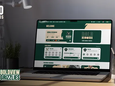 Rewards & Payment Portal baseball bold challenges payment portal punch card rewards sports ui ux
