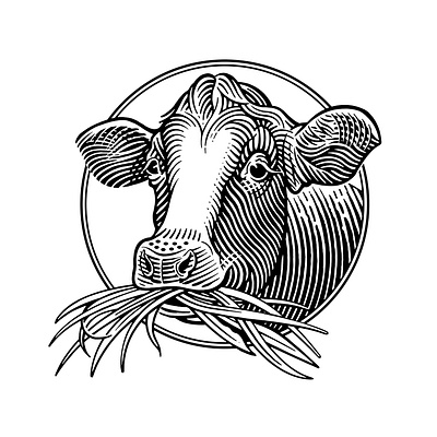 Grass-fed Cow cow grass fed illustration line art logo packaging roger xavier scratchboard