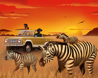 Safari africa character design excursion illustration safari sunset zebras