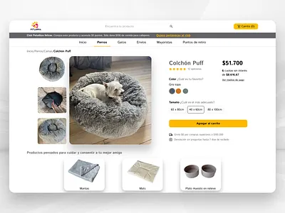 Single product ecommerce service design club ui camp ui camp w24