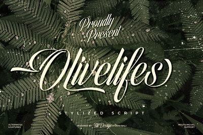 Olivelifes Script Font design font fonts letteing script typeface