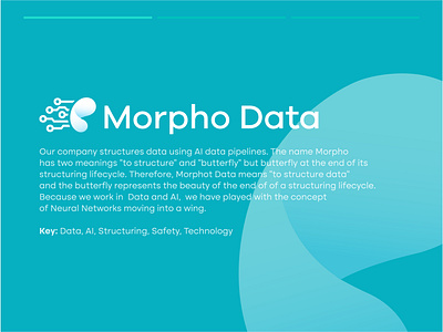 tech butterfly Logo brain branding butterfly butterfly logo data design icon logo logo design logos morpho network neural technology wings