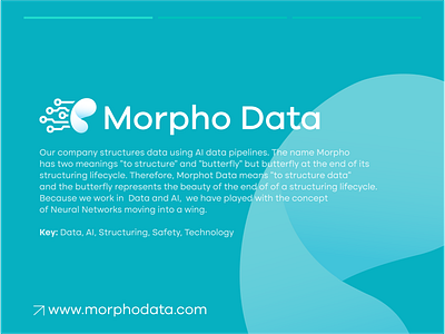 MorphoData- Logo & Brand Identity Design brain branding butterfly data design icon logo logo design logos morpho network neural technology wings