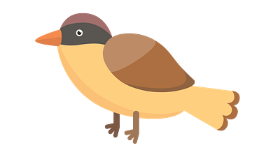 Bird animal bird icon