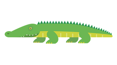 Crocodile animal crocodile icon