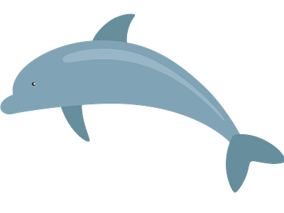 Dolphin animal dolphin icon