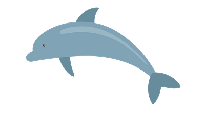 Dolphin animal dolphin icon