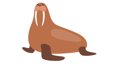 Walrus animal icon walrus