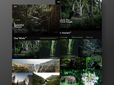 CekrekStudio - Portfolio Website african beautiful branding forest gorilla green jungle magazine mountain nature photo photography portfolio rain forest studio travel tree ui ui design website