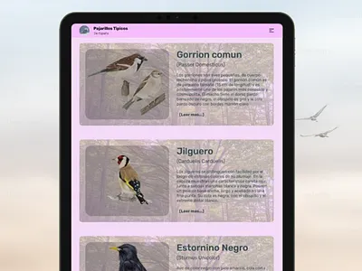 Daily UI 045 by Jorge Orozco UX 18/09/2024