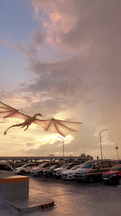 After Effects Practice - Flying Dragon after effects animation dragon game of thrones house of the dragon illustration motion graphics procreate sky sunset wyvern