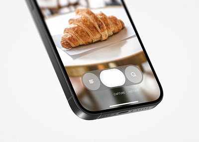 Scanner / Search UI app camera food ios iphone mobile mockups product product design scanner search visual search
