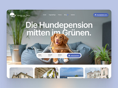 Animals Hotel — Hunde Am Teich agregator animals app graphic design interface landing webdesign