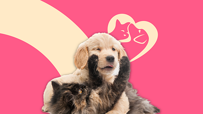 Brand-Building for PETMOJO animation bannerdesign cat dog graphic design petcare petcareapplication pets uxui