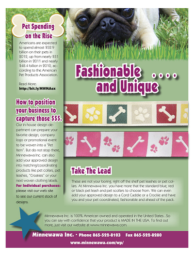 Pet Flyer 8.5x11 flyer pets print