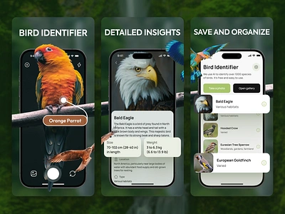 Bird Identifier - App Store Screenshots app design app store bird birds graphic design identify ios mobile app screenshot screenshots ui uiux ux visual