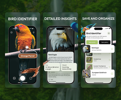 Bird Identifier - App Store Screenshots app design app store bird birds graphic design identify ios mobile app screenshot screenshots ui uiux ux visual