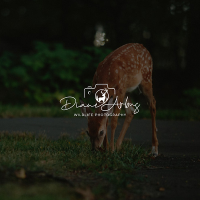 Wildlife Photography signature logo for the photographer. branding custom signature logo graphic design logo pet photography photo signature photography logo photography signature wildlife photography logo