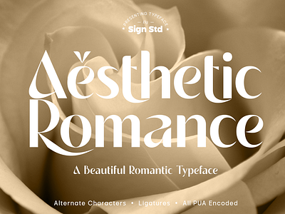 Aesthetic Romance aesthetic font alternate apparel branding display sans font graphic design ligature logo logotype magazine modern sans poster sans serif stylish font vogue font