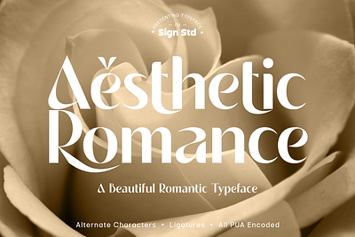 Aesthetic Romance aesthetic font alternate apparel branding display sans font graphic design ligature logo logotype magazine modern sans poster sans serif stylish font vogue font