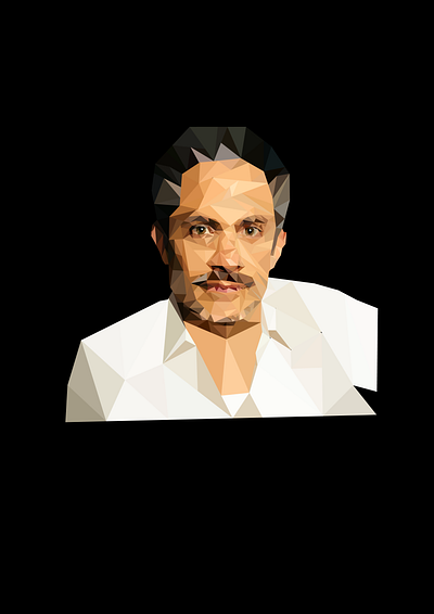 Gael García Bernal, reimagined in low poly art ad adobe illustrator gael garcia bernal graphic design latino art latino artists low poly art mexican mexican artists mexico poly art