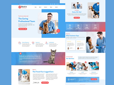 beetrix- Pet clinic and hospital Website elementor website landing page pet care website pet health care website website design