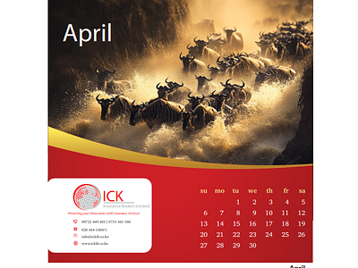 ICK SHIPPING CALENDAR bigfive calendar calendar design calendardesign kenya maasai mara wildlife