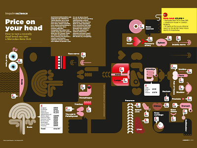 Body-parts for Esquire Magazine body illustration diagrams graphicdesign illustration infographics magazine illustration medical illustration pharmaceutical illustration