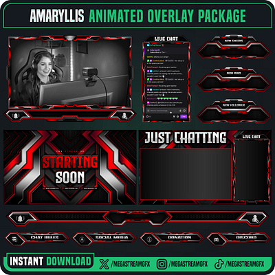 Stream Overlay Package | Red Clean Stream Overlays for Twitch professional overlay