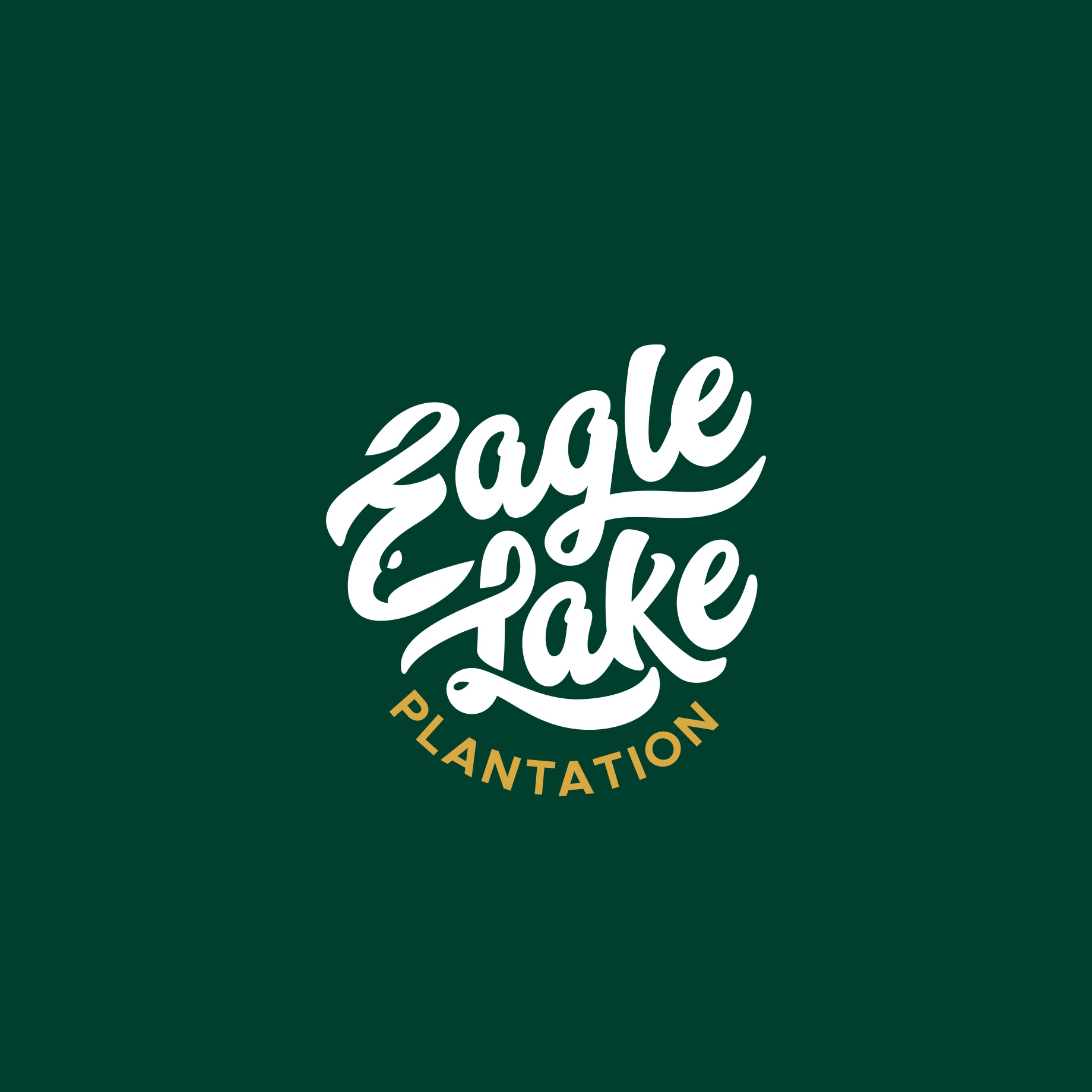 Eagle Lake graphic design logo logo design print design vector