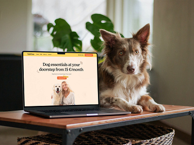 Tail Time - Website branding delivery dog ecommerce logo pet products uxui web design website