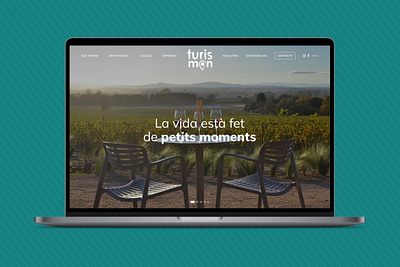 Turismon 🌍🌿🌊 branding design development figma logo ui ux web web design wordpress