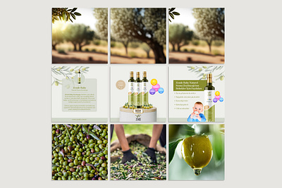 Zende Olive Oil | Social Media Management digital marketing graphic design hatu digital instagram post olive oil social media social media management