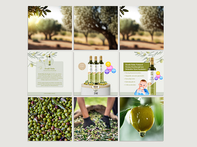 Zende Olive Oil | Social Media Management digital marketing graphic design hatu digital instagram post olive oil social media social media management