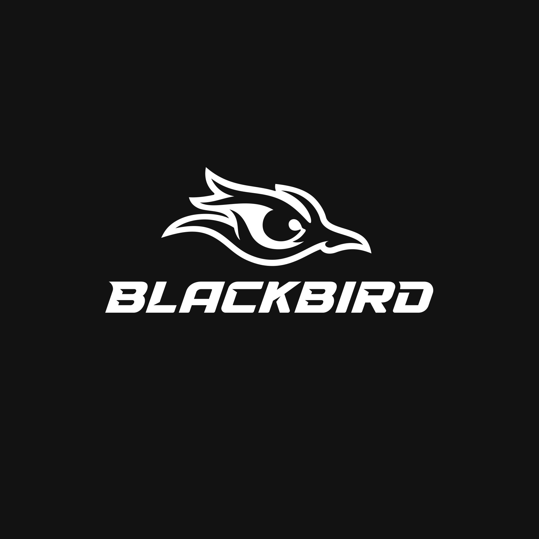 BLACKBIRD bird eye graphic design logo logo design vector