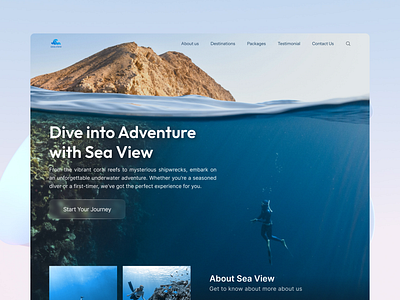 Underwater Tourism Website Landing Page | UI Design adventure animation branding design explore figma hero section illustration landing page logo minimalist planners tourism travel ui ui design ux water webdesign website